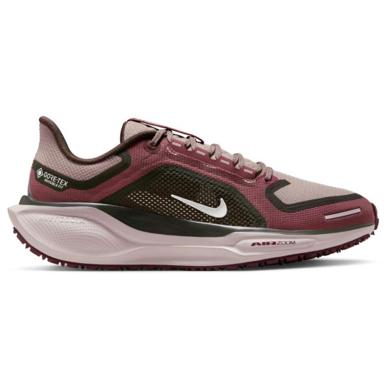 Nike Pegasus 41 GORE-TEX W